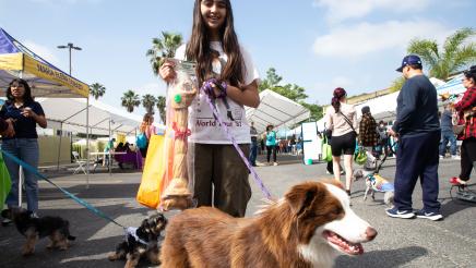 Annual Pet Wellness Fair